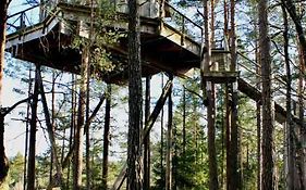Tretopphytter På Grensen - Elghytta med robåt og gjeddefiske
